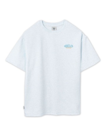 Lt Blue Marle colour