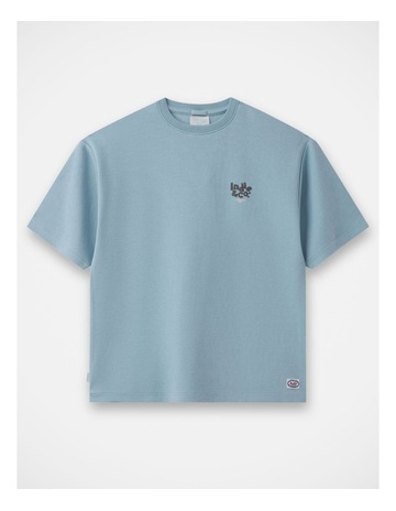 FRENCH BLUE colour