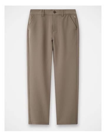 TAUPE 25 colour