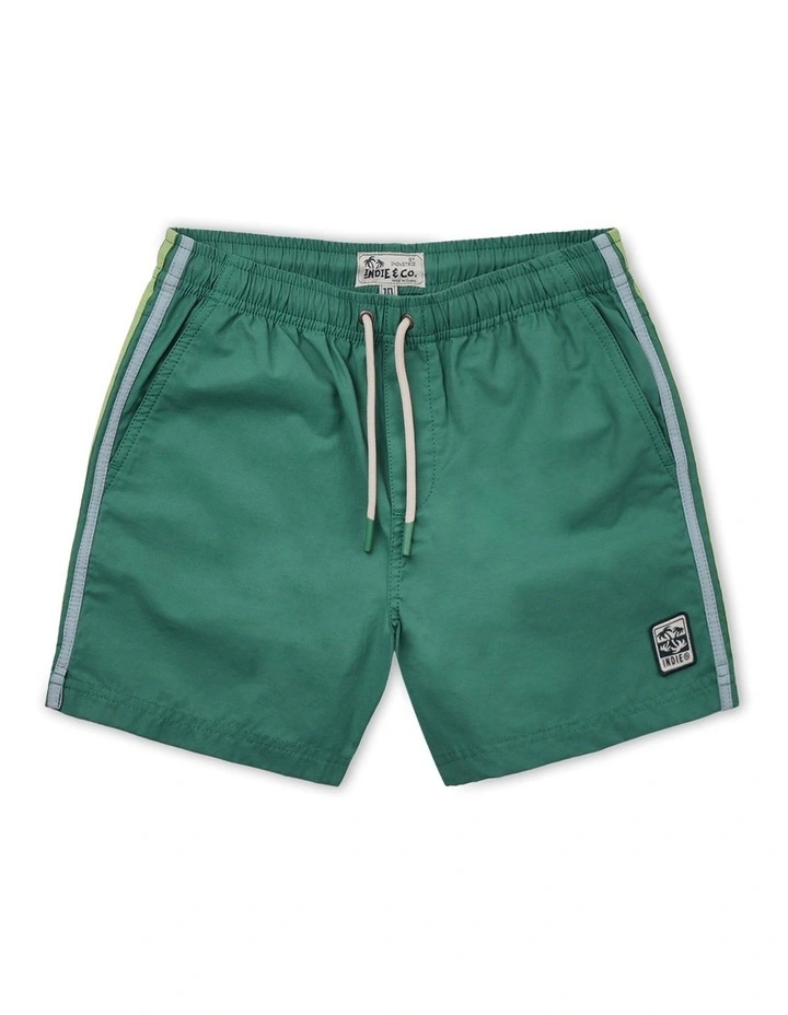 The All Day Stripe Swim Trunk (8-14 Years) in Green image 1