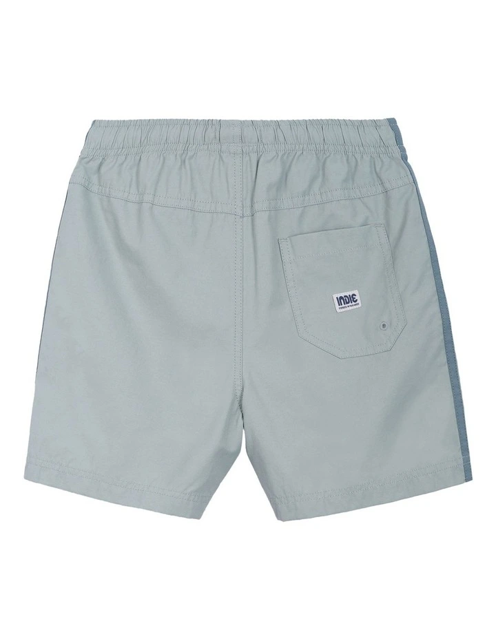 The All Day Stripe Swim Trunk (3-7 Years) in Meadow image 3