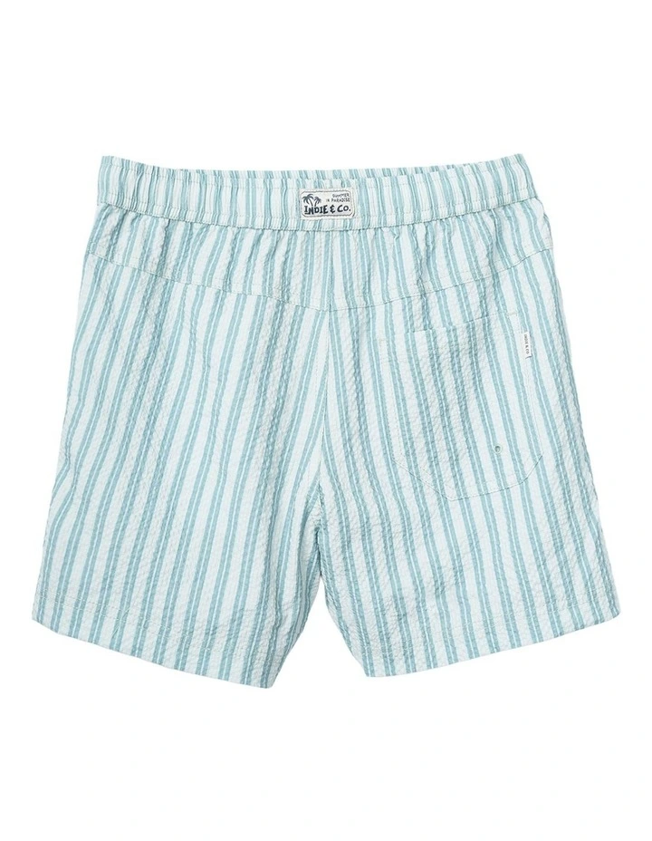 The San Vito Swim Trunk (3-7 Years) in Blue image 3