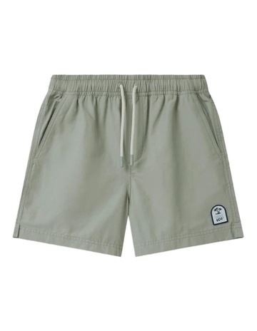 LT MOSS 23 colour