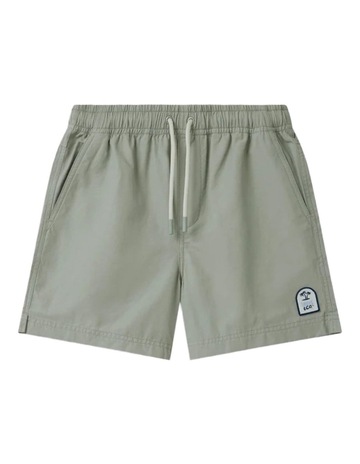 LT MOSS 23 colour