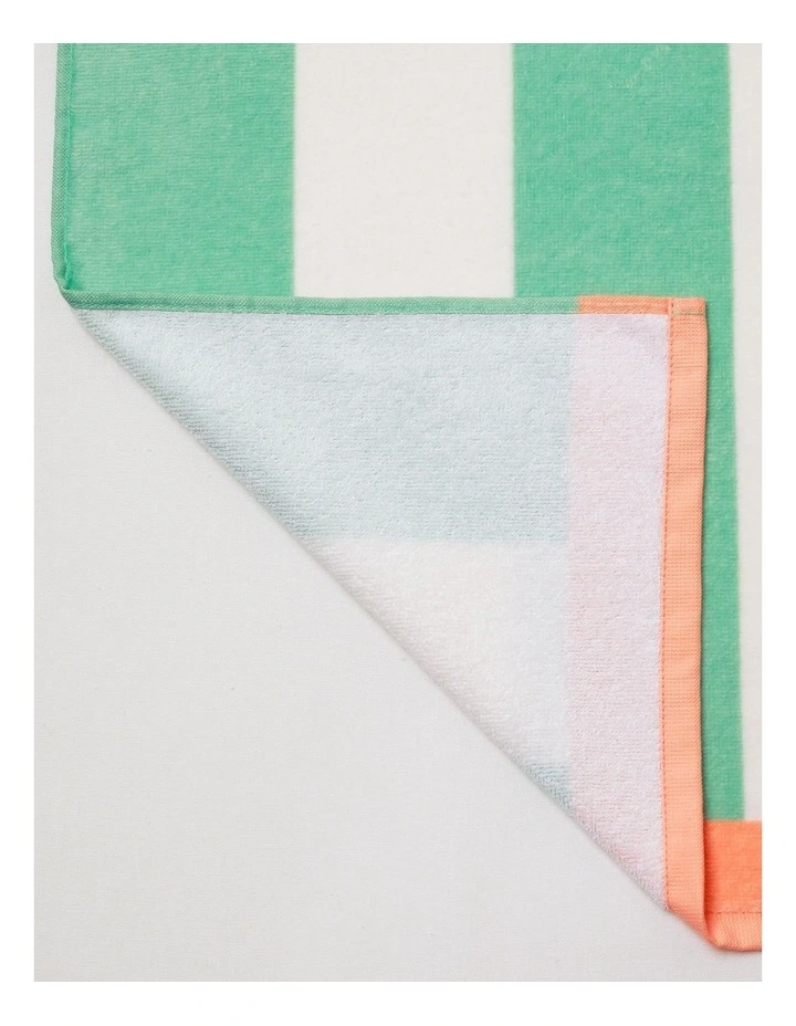Santa Monica Stripe Printed Flat Towel in Multicoloured image 4