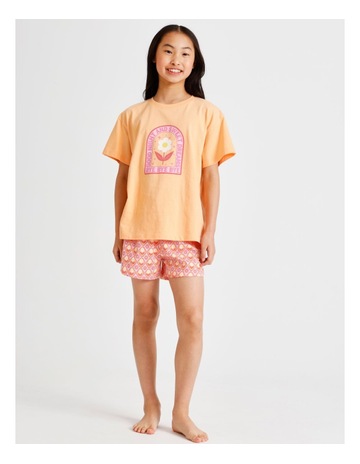 Peach colour