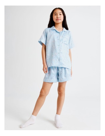 Lt Blue colour