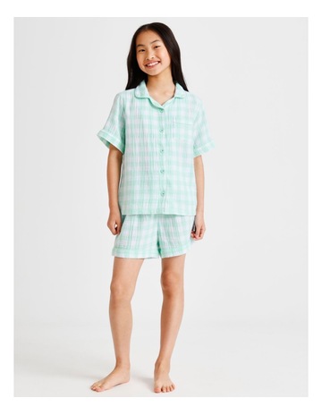 Mint colour