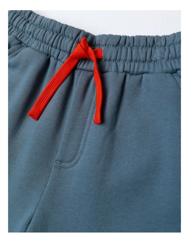 Terry Shorts in Blues image 4