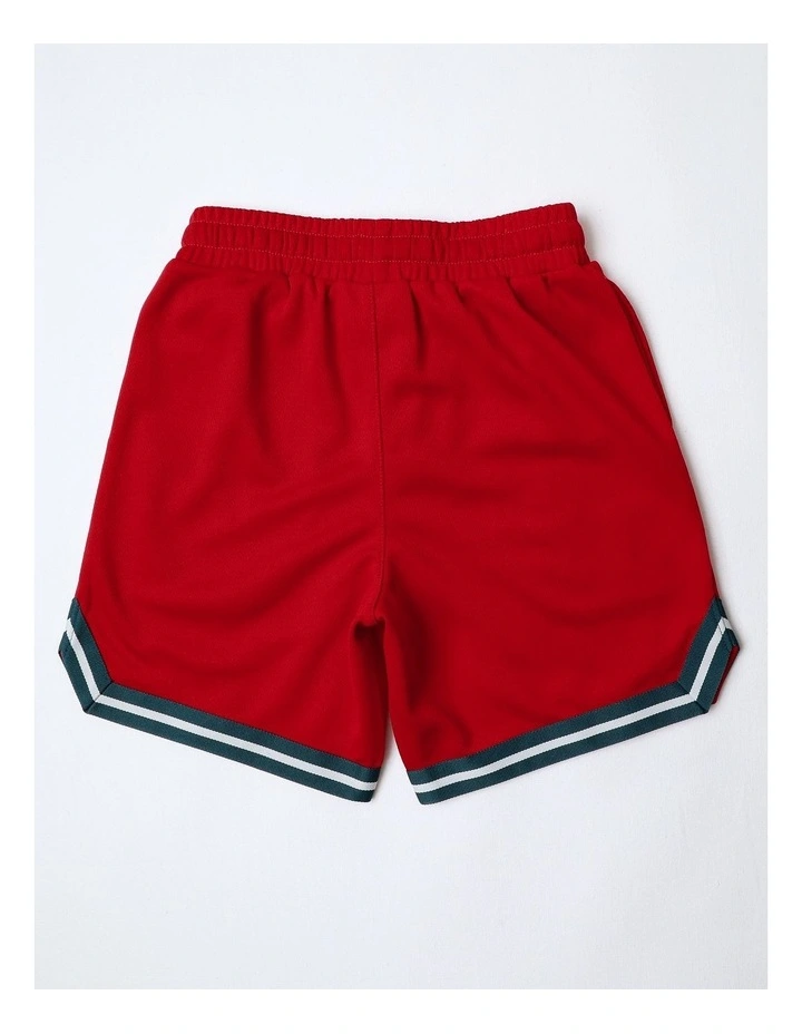 Hot Wheels Basketball Mesh Shorts in Ruby image 3