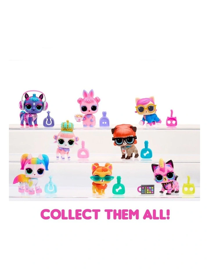 Eye Spy Pets in Assorted image 4