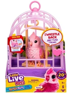 My Really Real Bird And Cage