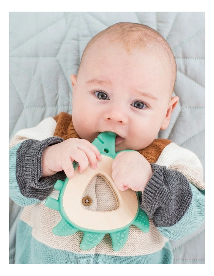 Teether Hedgehog image 3