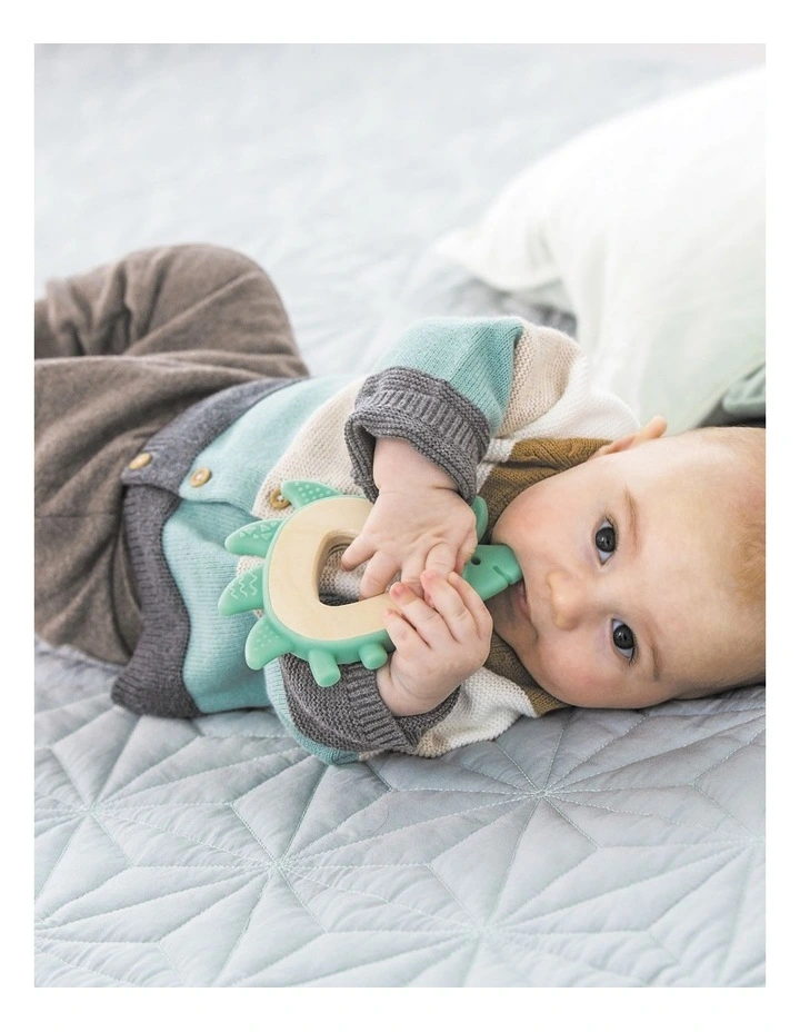 Teether Hedgehog image 5