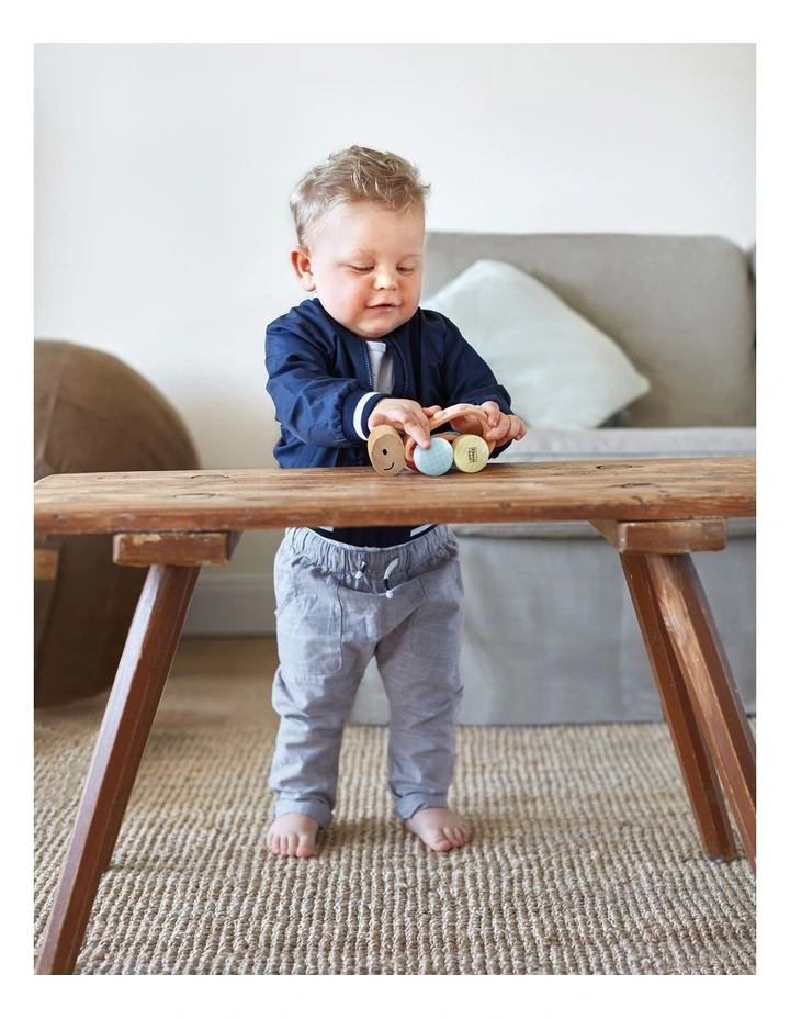 Turbo Turtle image 3