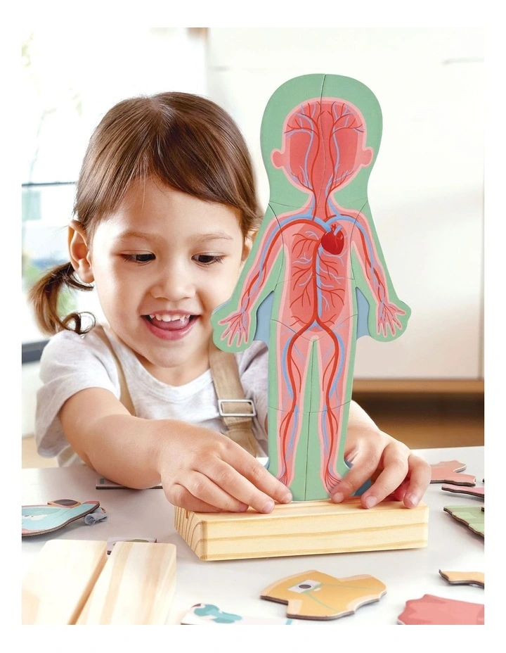 Human Body Magnetic Puzzle image 3