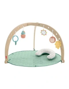 Wooden Lay and Play Deluxe Activity Gym