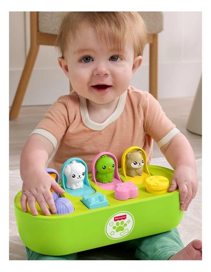 Pets Fine Motor Pop-Up Baby Activity Toy image 6