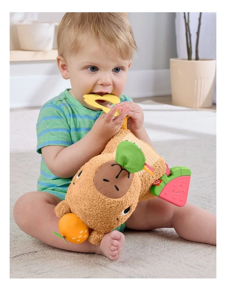 Fisher-Price Snuggly Snacky Capybara Plush Baby Sensory Toy image 3