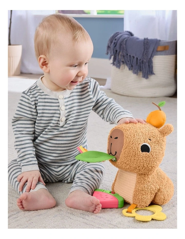 Fisher-Price Snuggly Snacky Capybara Plush Baby Sensory Toy image 4