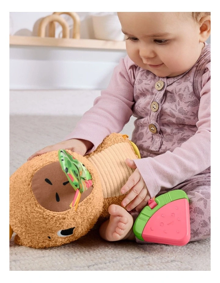 Fisher-Price Snuggly Snacky Capybara Plush Baby Sensory Toy image 5