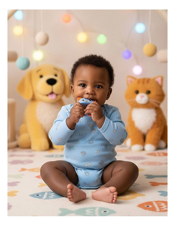 Soothe And Chew Silicone Teethers Set image 7