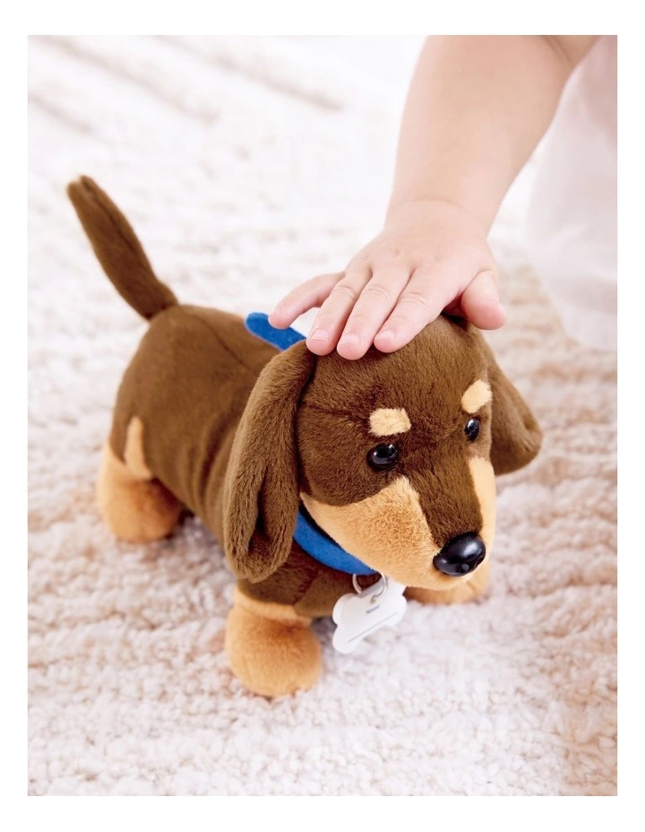 Puppy Care Clinic Vet Set image 7