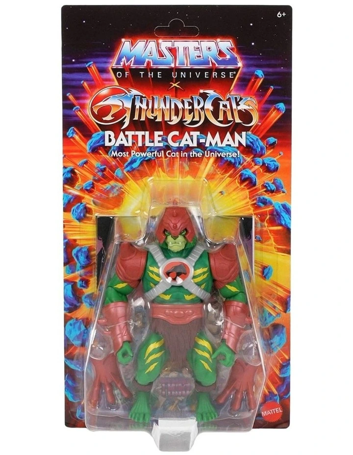 Masters of the Universe Origins And Thunder Cats image 1