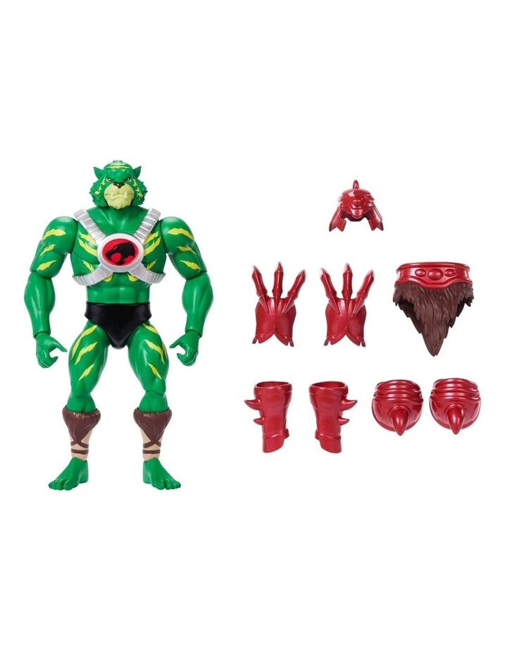 Masters of the Universe Origins And Thunder Cats image 2