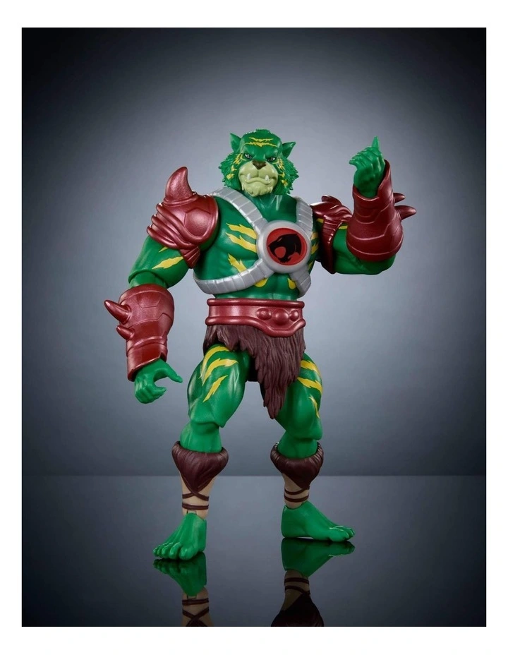 Masters of the Universe Origins And Thunder Cats image 3