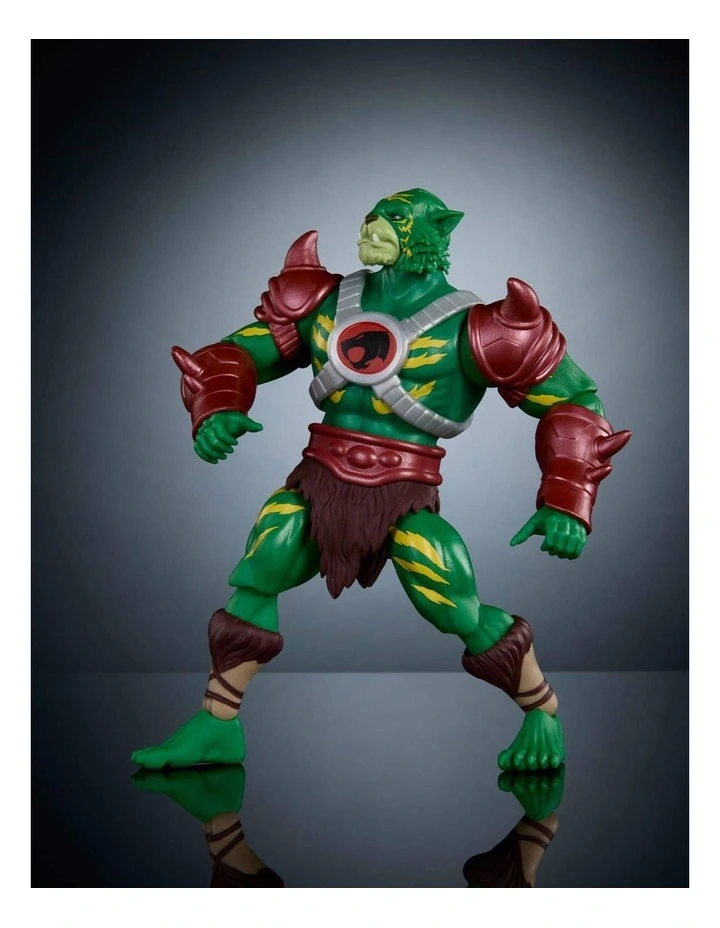Masters of the Universe Origins And Thunder Cats image 4