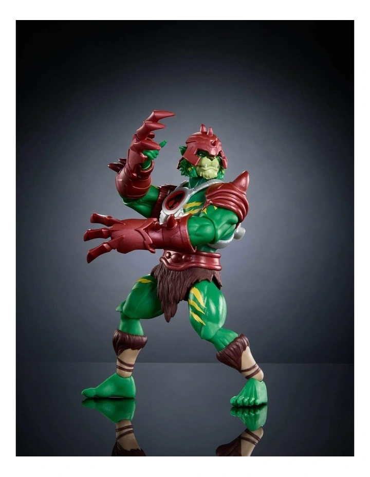 Masters of the Universe Origins And Thunder Cats image 5