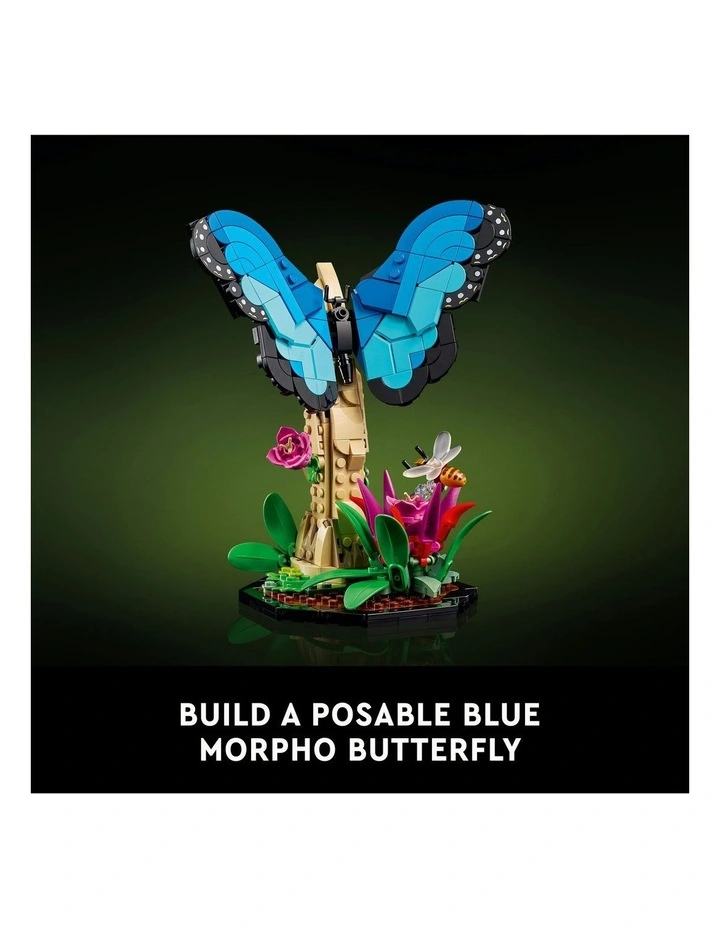 Ideas The Insect Collection 21342 Toy Set image 3