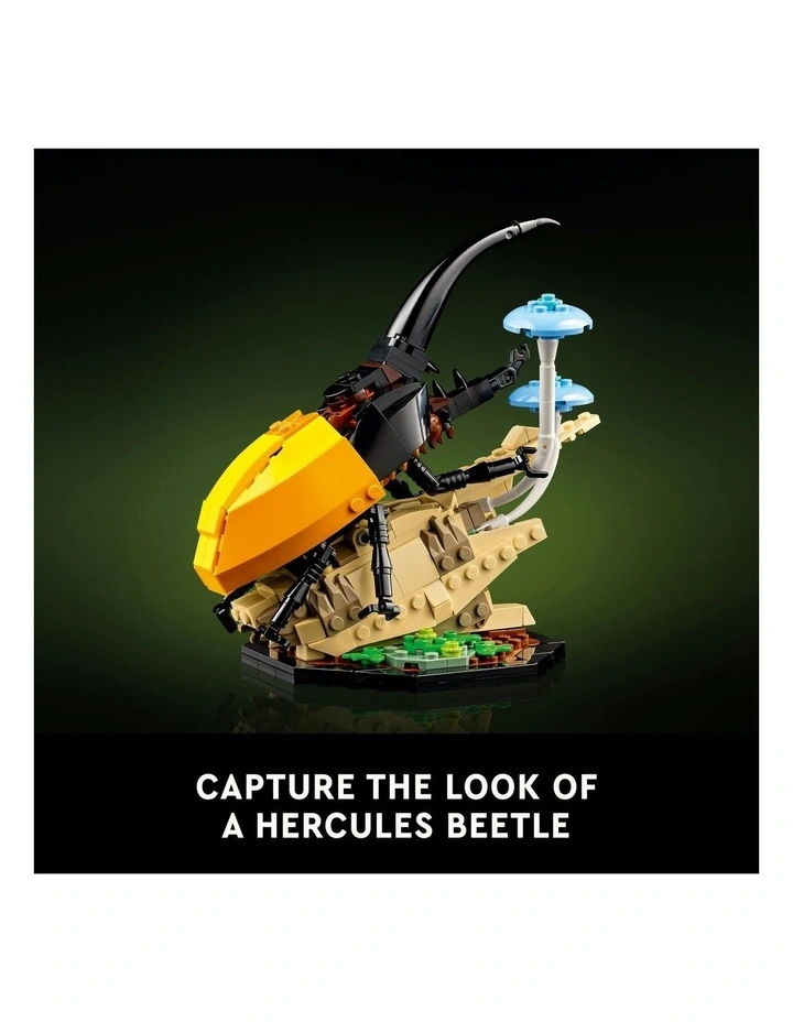 Ideas The Insect Collection 21342 Toy Set image 4