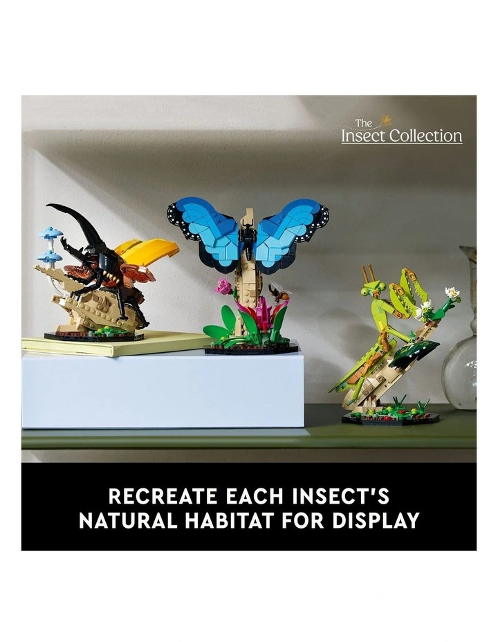 Ideas The Insect Collection 21342 Toy Set image 6