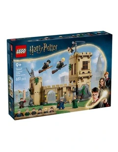 Harry Potter TM Hogwarts Castle: Flying Lessons 76447