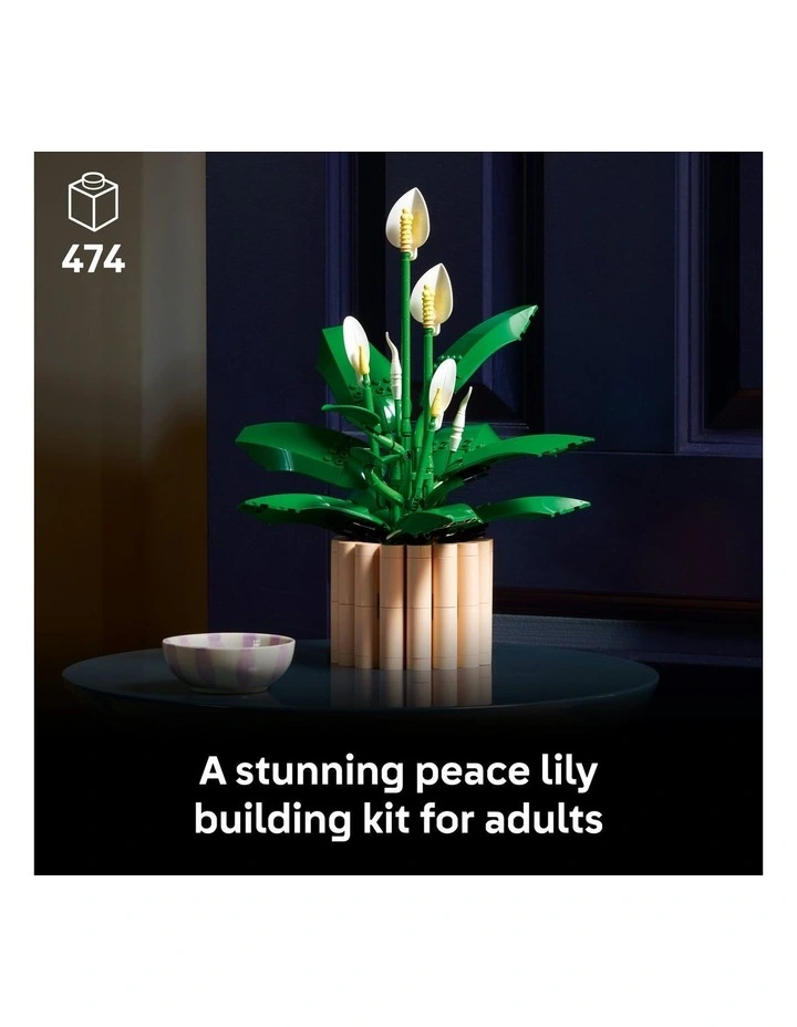 11504 Botanicals Peace Lily image 2