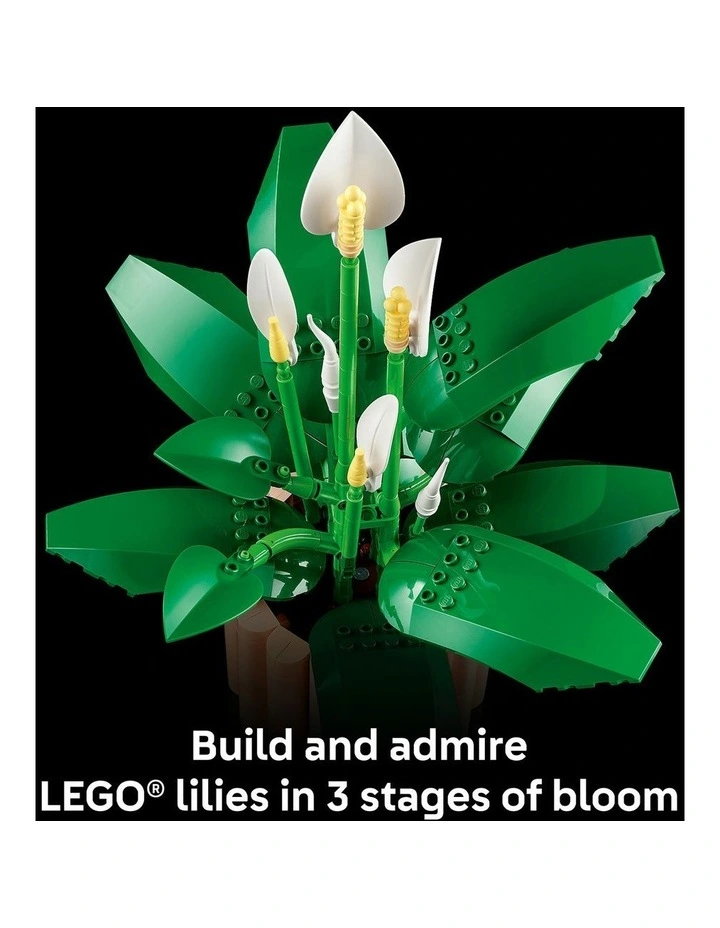 11504 Botanicals Peace Lily image 4