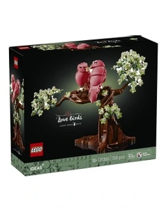 Ideas Love Birds 21365