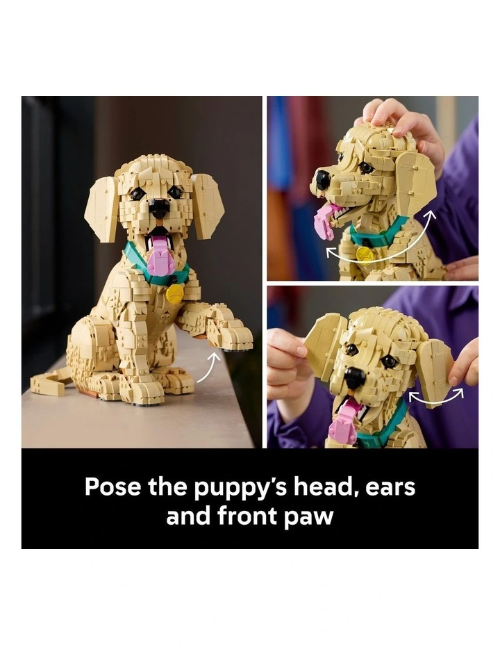 Icons Golden Retriever Puppy 11384 image 4