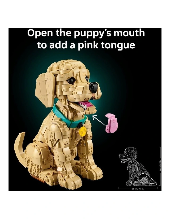 Icons Golden Retriever Puppy 11384 image 5