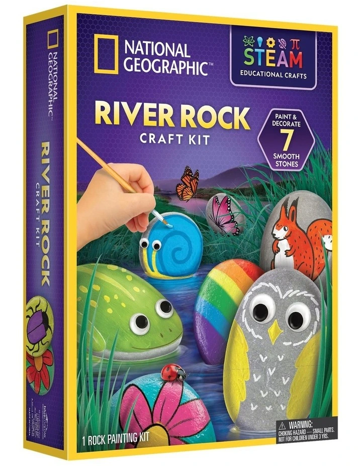 Rock Painting Activity Kit image 1