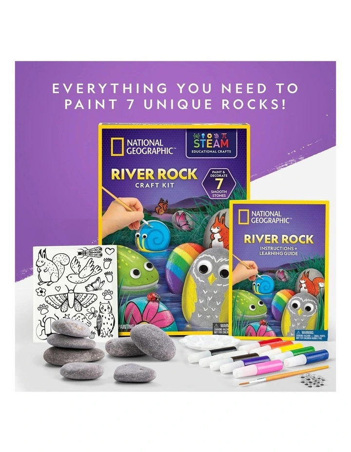 Rock Painting Activity Kit image 3