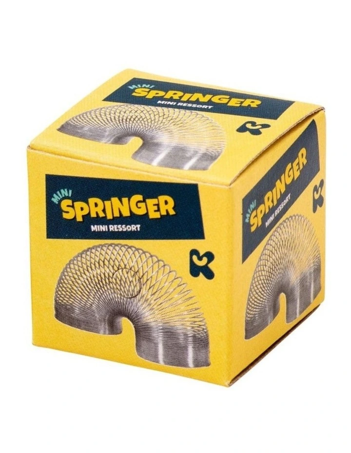 Mini Metal Spring Toy image 1