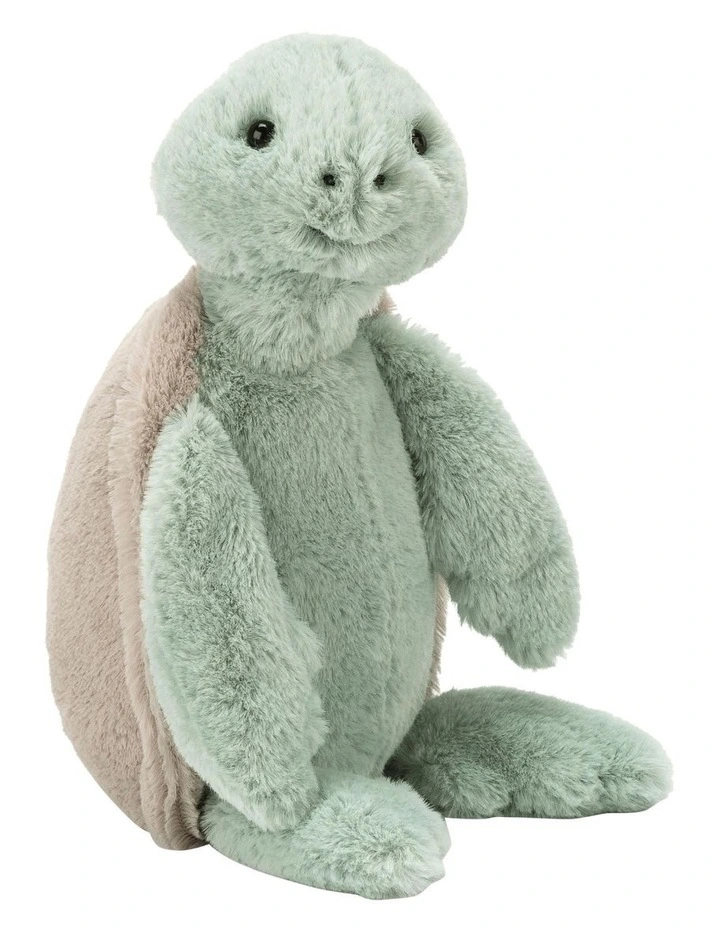 Bashful Turtle Original image 2