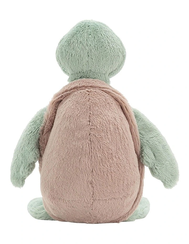 Bashful Turtle Original image 4