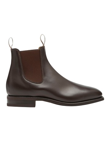 Chestnut colour