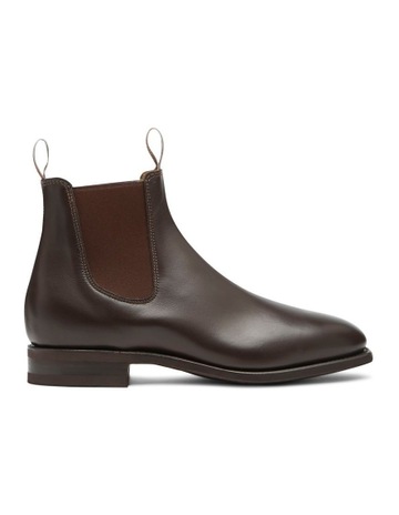 Chestnut colour