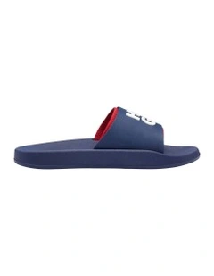 Logo Slides in Dark Blue
