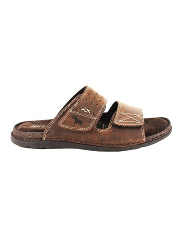 Brown colour